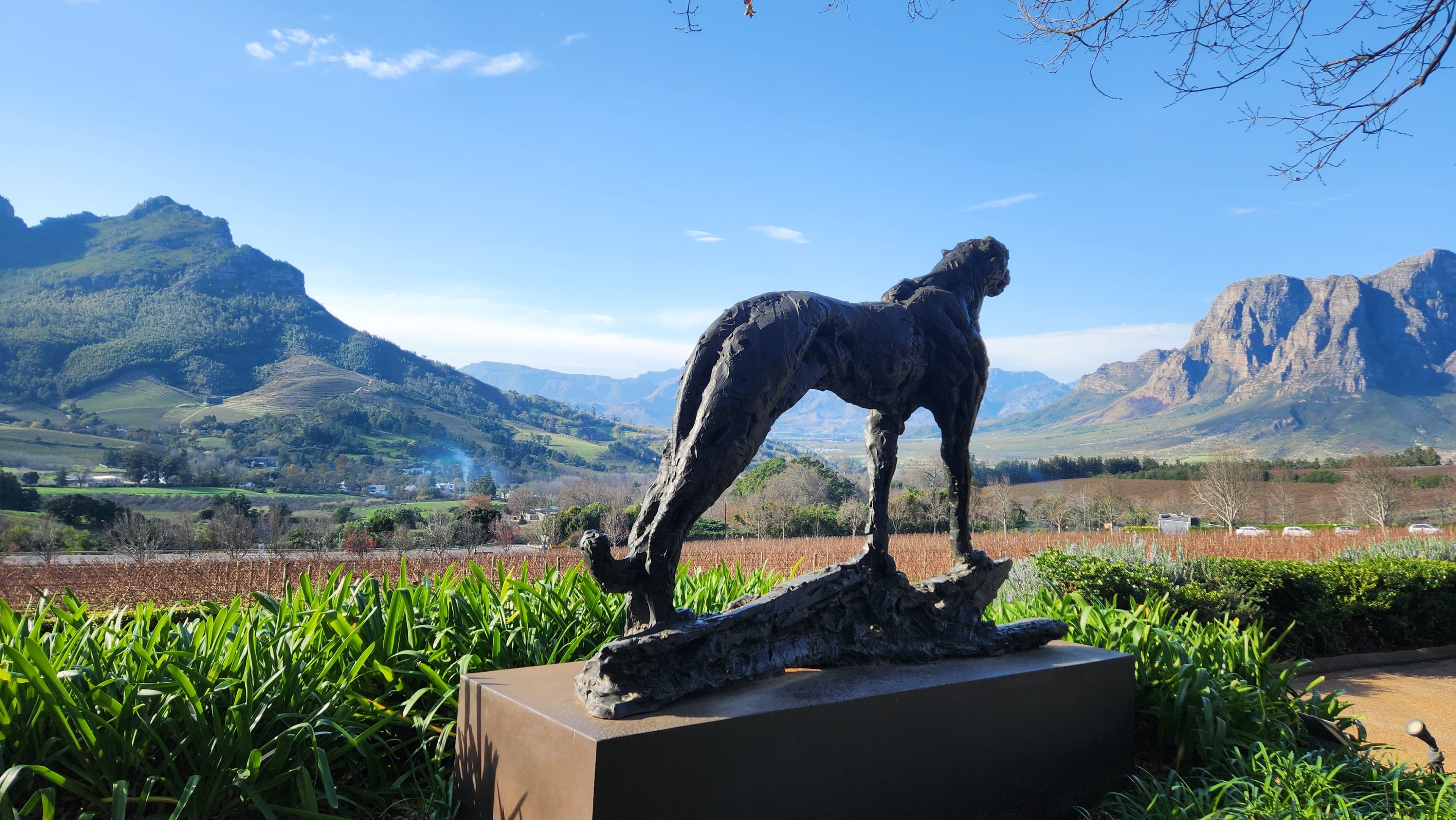 A leopard sculpture overlooking the Stellenbosch winelands