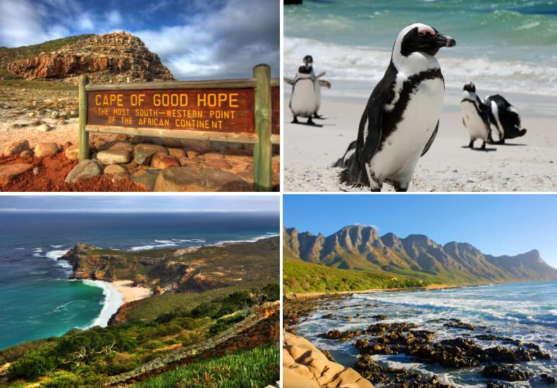 Cape Peninsula Tour (Cape Point & Penguins)