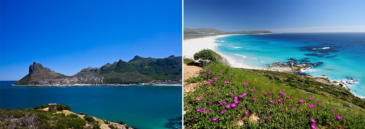 Cape Peninsula Tour (Cape Point & Penguins)
