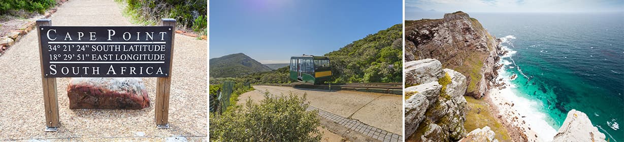 Cape Peninsula Tour (Cape Point & Penguins)