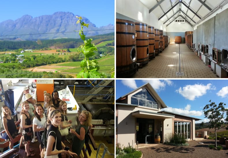 Custom Wine Tour