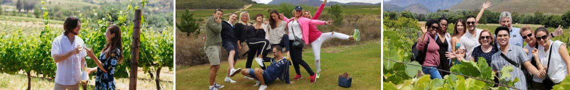 Daily Wine Tours from Cape Town