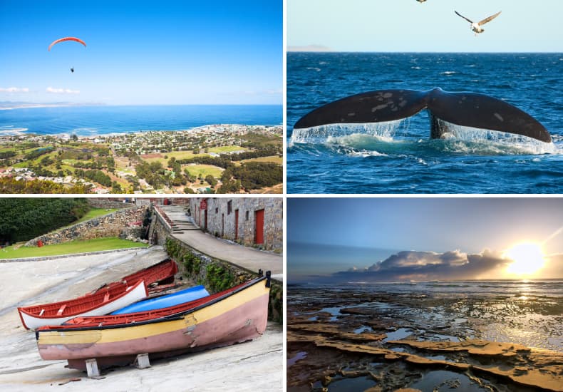 Hermanus / Whales Day Tour