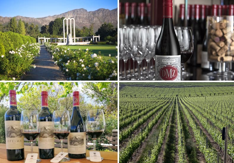 Stellenbosch & Franschhoek Private Wine Tour